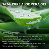 Aloe Up Aloe Ice Sunburn Relief Face — soothing gel ideal for cheeks and nose.