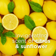 Andalou Naturals Citrus Sunflower, aceite de albaricoque nutre la piel