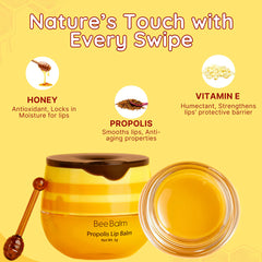 Bee Balm Original Lip Balm jar front view shows nourishing formula for dry lips.