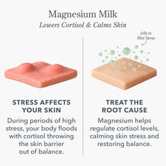 Beekman 1802 Magnesium Milk Barrier Reset Jelly Mist – pulvérisation douce pour équilibre cutané