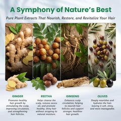 BIOGREEN ROOTS: protéine de blé, extrait coco et vitamine E pour l'hydratation.