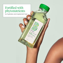 Briogeo Superfoods Matcha + Apple Champú ingredientes de manzana y espinaca para cabello saludable