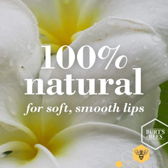 Textura cremosa Burt's Bees bálsamo labial para labios suaves