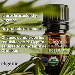 Kit aplicador doble para cejas y pestañas de Cliganic.