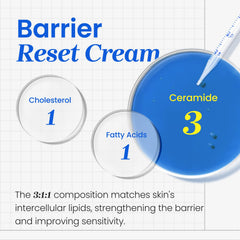 Uso diario de CNP Barrier Reset Cream para reforzar la barrera cutánea