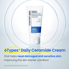 Textura sedosa de CNP Barrier Reset Cream se absorbe sin grasa
