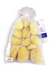 Esponjas naturales Constantia Beauty de seda marina, 12 unidades, empaque elegante para regalo.