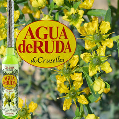 Crusellas Rue Water, formato para protección de energías negativas en tu entorno.