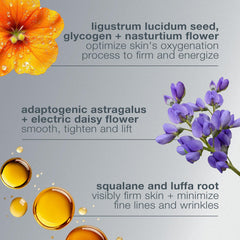 Dermalogica Phyto Nature Oxygen Cream, hidratación intensa que suaviza la piel y aporta luminosidad.