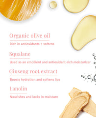 DHC Crema Labios ingredientes botanicos para nutricion de labios