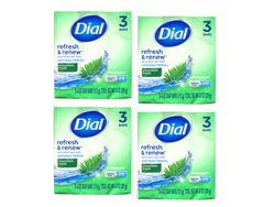 Dial Montagne Fraiche emballage élégant repérable et pratique