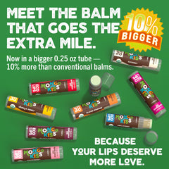 Eco Lips Mongo Kiss: mongongo y manteca de cacao orgánicos.