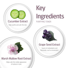 Epionce Tonique Purifiant soin visage pour peau mixte à grasse.