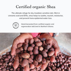 evanhealy baume yeux format voyage de 15 ml pour sac à main