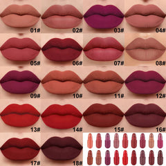 evpct conjunto labiales mate 24h, acabado duradero y sin transferencia.