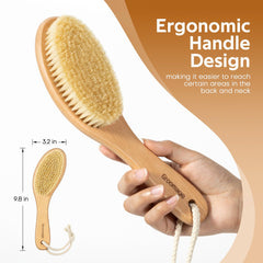 Groomage cepillo para uso en cuerpo entero cubriendo piernas y torso