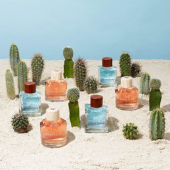 Hollister Canyon Escape – empaque frontal, fácil de mostrar en el tocador.