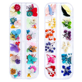 iFancer flores secas para uñas seis tipos, diseño natural