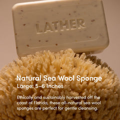 Esponja corporal LATHER, exfoliante suave, genera espuma cremosa para limpieza diaria