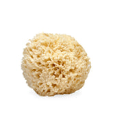 Esponja LATHER de lana marina natural para limpieza suave y exfoliación delicada.