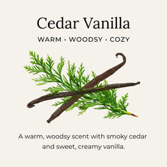 Aplicación fácil con espátula incluida para Little Seed Farm Cedar Vanilla.