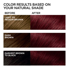 Kit Feria de dos unidades para coloración permanente y cobertura de canas.