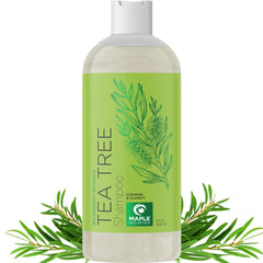 Maple Holistics Champú Clarificante para cabello oleoso, limpia profundamente el cuero cabelludo