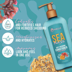 Mielle Organics Sea Moss Condicionador: textura cremosa para hidratación profunda y suave