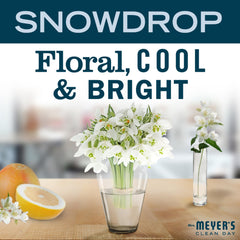 Aplicación diaria de la crema Snowdrop para piel seca