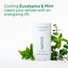 Aroma de eucalipto y menta de Native Desodorante
