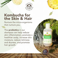 Nature Sustained Champú Natural Original, ingredientes orgánicos crudos, aromas naturales para el cabello.