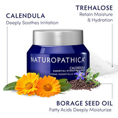 Aplicación matutina de la crema Calendula para uso diario y cómodo.