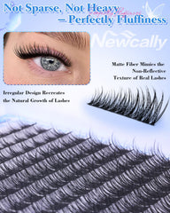 Newcally pestañas clusters 12mm: gradiente delicado para un look suave