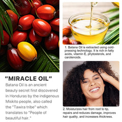 Aceite para cabello antes del peinado con NIFEISHI Batana