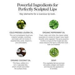 Ogee Magnolia texture soyeuse et hydratation légère.