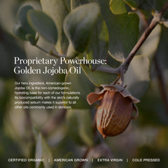 Ogee Teint Vitamine C Jojoba, hydratation légère et éclat sain.