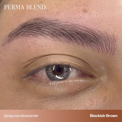 Perma Blend kit cejas delineado ojo, buena adherencia y pigmentación estable.