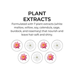 PHYTO 7 para cabello seco y fino, aporta brillo suave.