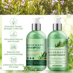 PIPIHUA rosemary tea-tree oil ingredients highlight natural scalp nourishment