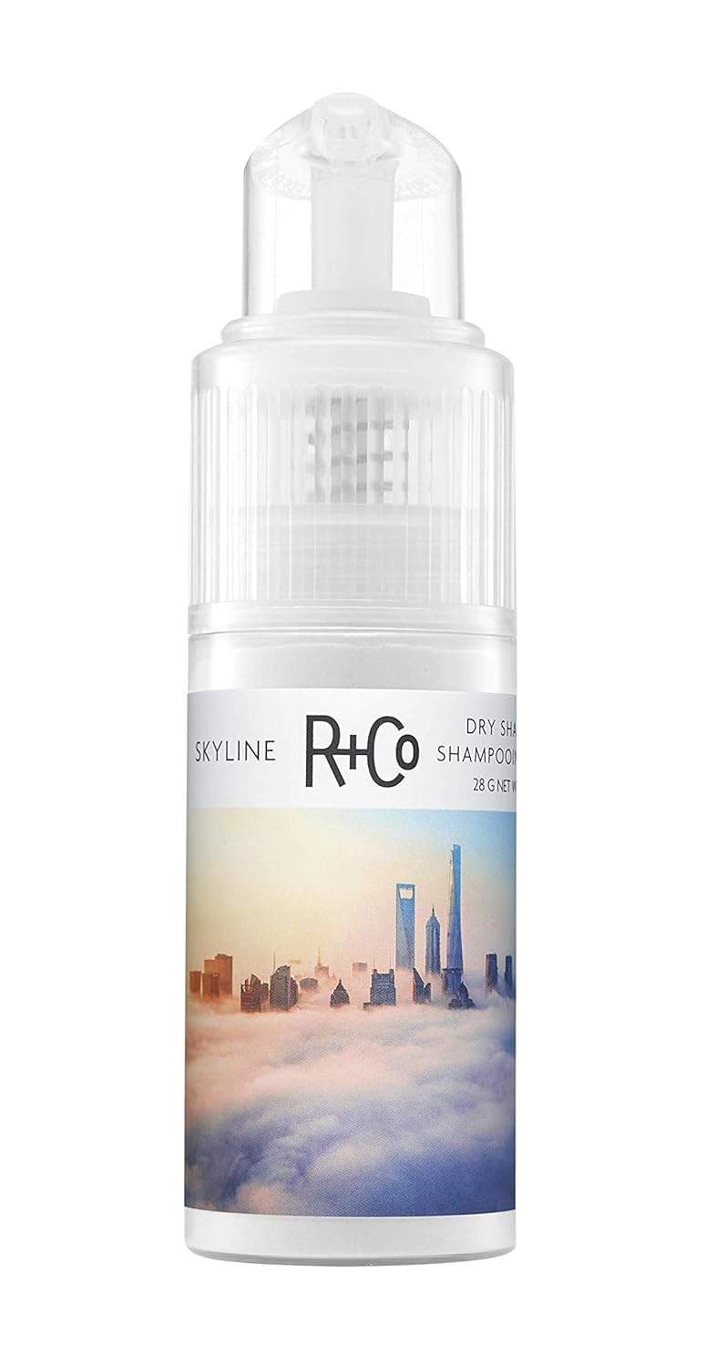 R+Co Skyline Poudre Sèche - absorption huile et volume.