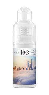 R+Co Skyline Poudre Sèche - absorption huile et volume.
