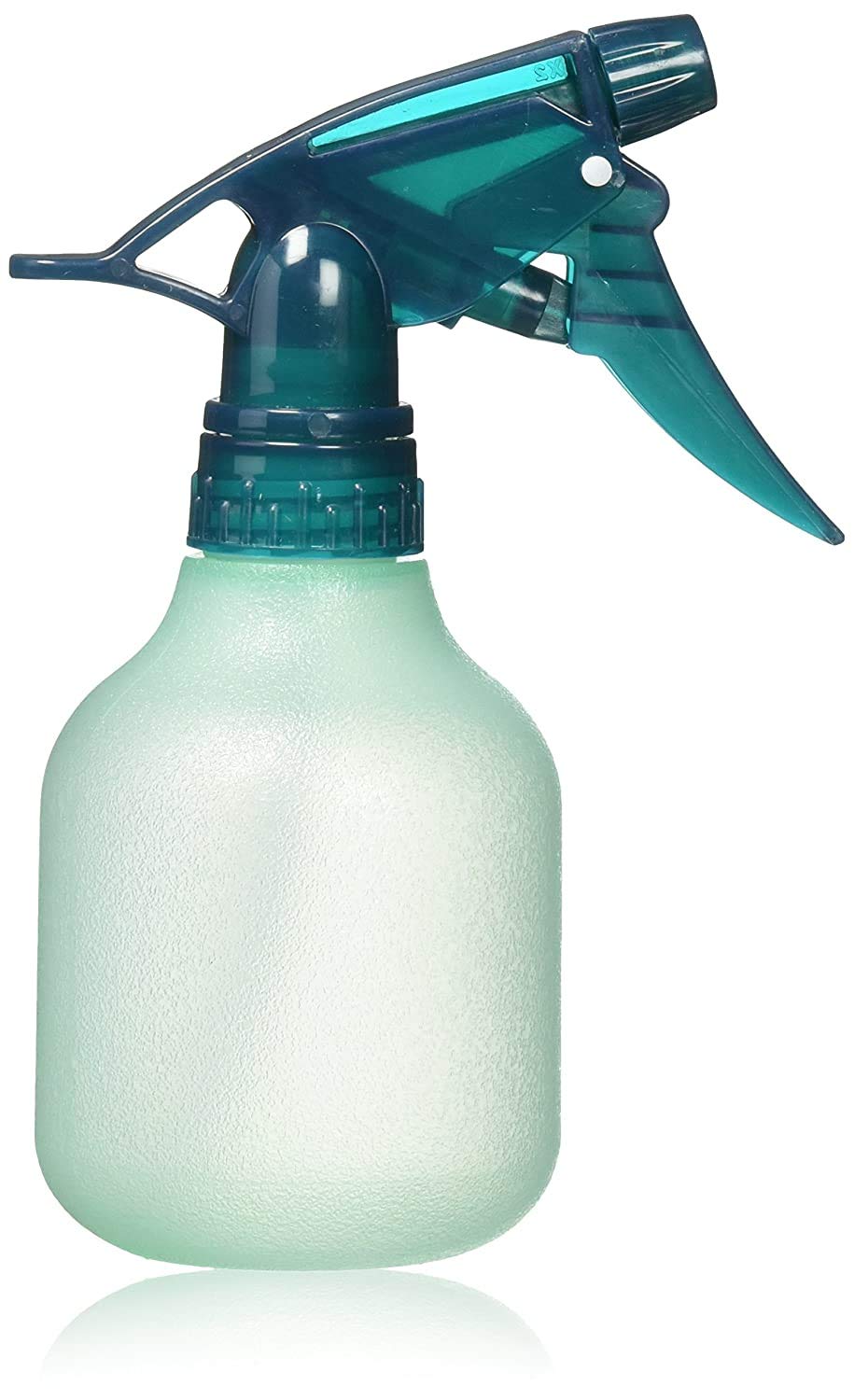 Rayson botella pulverizadora vacía para peinado y cuidado del cabello