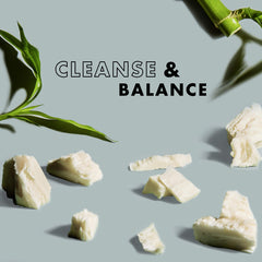 Aceite de Árbol de Té en SheaMoisture, purificación suave sin resecar.