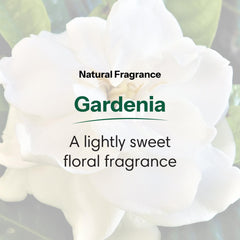 ShiKai Gardenia foam close-up reveals a creamy texture for daily use.