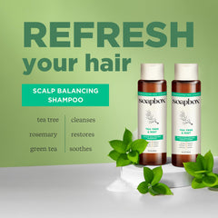 Shampoing Soapbox arbre à thé en flacon, sensation rafraîchissante au lavage.