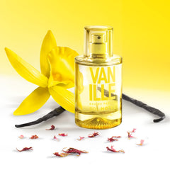 Solinotes Vanilla: tono de tonka y especias para calidez sutil.