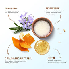 Svvimer Biotin Rosemary Ginger ingredients shown on label.