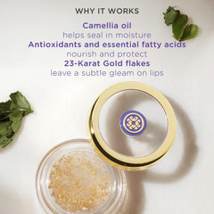 Tatcha Camellia Gold Spun Lip Balm – riche en antioxydants et nutriments nourrissants.