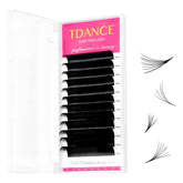 TDANCE Easy Fan Lash Extension tray view with organized rows for quick application