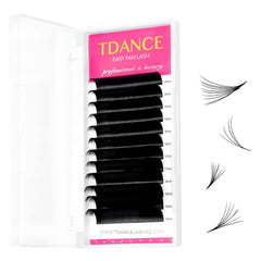 TDANCE Easy Fan Lash Extension tray view with organized rows for quick application